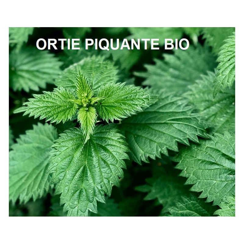 Infusion d'Ortie BIO en feuilles - 50 g