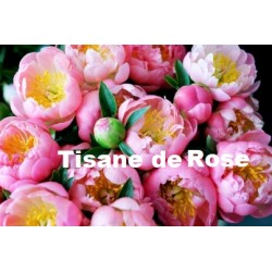 Plante Rose pale bouton Bio 50 g - Tisane et Infusion de plantes simples - Vallée Nature