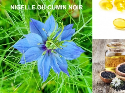 Huile Vierge Cumin Noir Bio 100ml - Emile Noel à Prix Carrefour